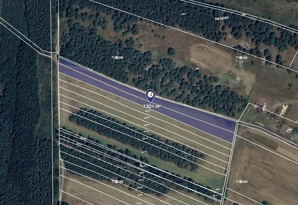 Prodej pole 7021 m²